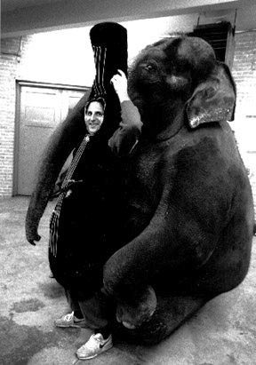 Barry Green with Elephant